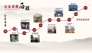 发展历程