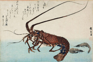 复古风龙虾绘画作品