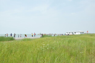 草原上的人群与广阔天地