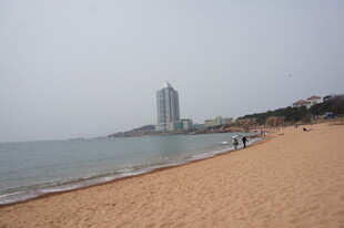 海滨沙滩与远处高楼景象