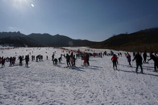 雪场人群欢乐滑雪景象