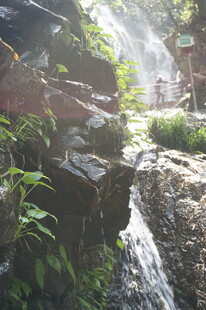 山间瀑布下的绿意景致