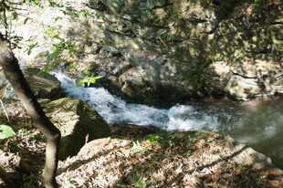 山林间的潺潺溪流