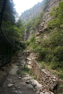 山间石径 绿意盎然的小道