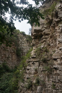 陡峭岩壁旁的繁茂绿植