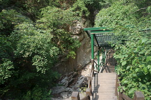 山间吊桥隐于葱郁林木间