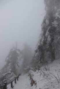 雪雾中的山林步道