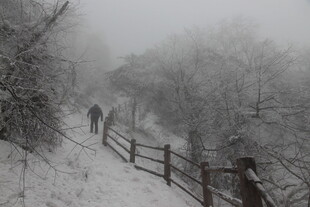 雪雾中漫步的林间小道
