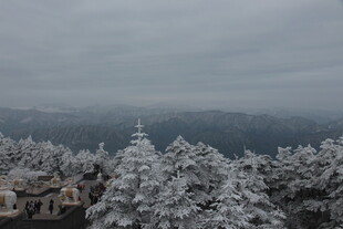 雪覆山林的冬日美景