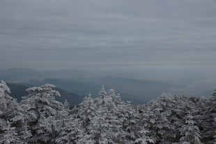 雪覆山林的静谧冬日景象