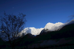 雪山与孤树的静谧景致