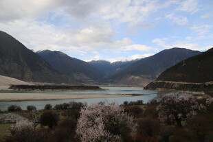 西藏湖畔秀丽春光景色