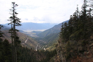 山谷森林间的壮美自然景观