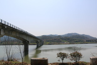 江上桥梁横跨山水间