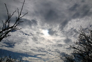 阴云密布的天空与枯树枝