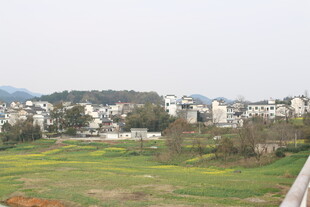 乡村田野与远处建筑景观