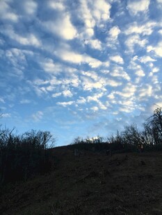 蓝天草地间的云景