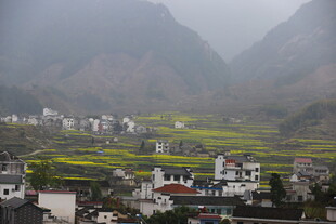 山间村落油菜花美景