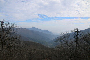 山景远眺 枯树点缀天际