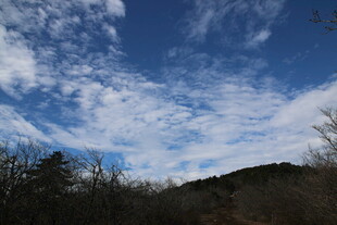 蓝天白云下的山林景色