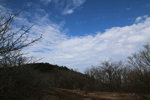 蓝天旷野间的萧瑟景致
