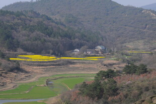 山间田园春色美景