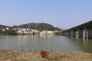湖畔桥梁与远处村落风景