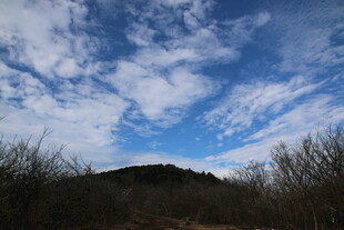 蓝天白云下的山林景致