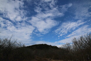 蓝天远山与枯木景象