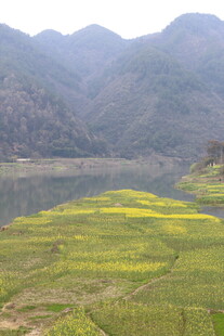 山间油菜田与湖景风光