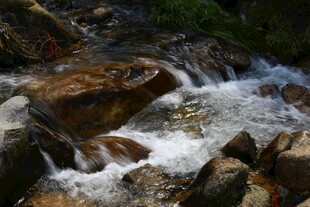 山间溪流潺潺过石间