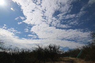 蓝天白云下的自然风景