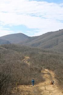 山间徒步者的静谧之旅