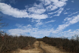 乡间小径 蓝天白云相伴