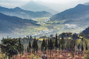 山间美景 村落隐于青山间