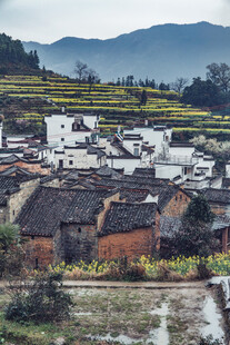 婺源皖南村落田园风光美景