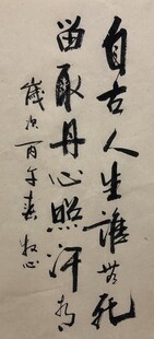 留取丹心照汗青 杨克东书法作品