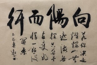 向阳而行 杨克东书法