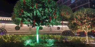 夜晚发光树景观