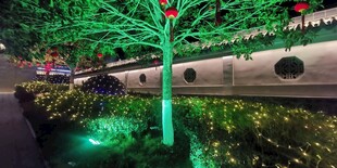 梦幻绿光树景 夜色添魅力