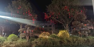 夜晚园林景观灯光秀