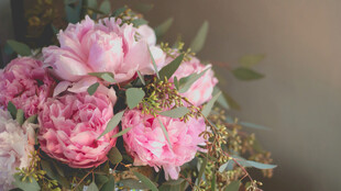 粉色娇艳牡丹花束