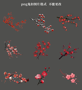 梅花素材