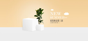 简约绿植装饰清新小景