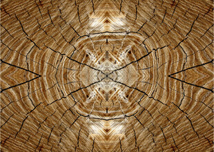 木纹图案