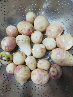 去皮的芋头