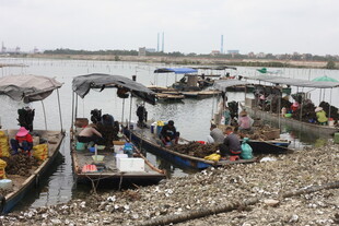 湛江河边热闹的水上交易场景