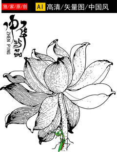 手绘莲花图尽显中式韵味
