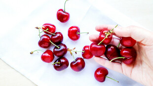 手捧新鲜红樱桃
