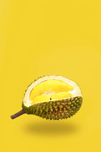 切开的榴莲果肉特写